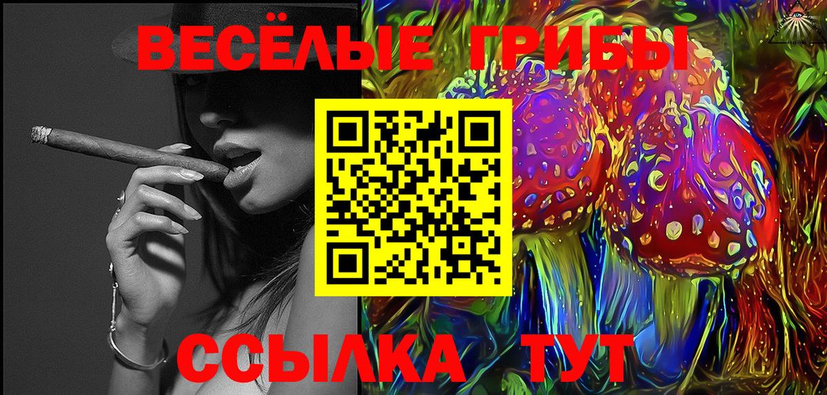 Галлюциногенные грибы GOLDEN TEACHER Егорьевск
