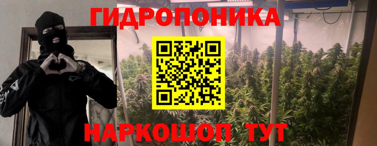 Каннабис гибрид  Бошки марихуана марихуана  Шишки марихуана LSD WEED  Егорьевск  Вход с VPN  Каннабис индика 